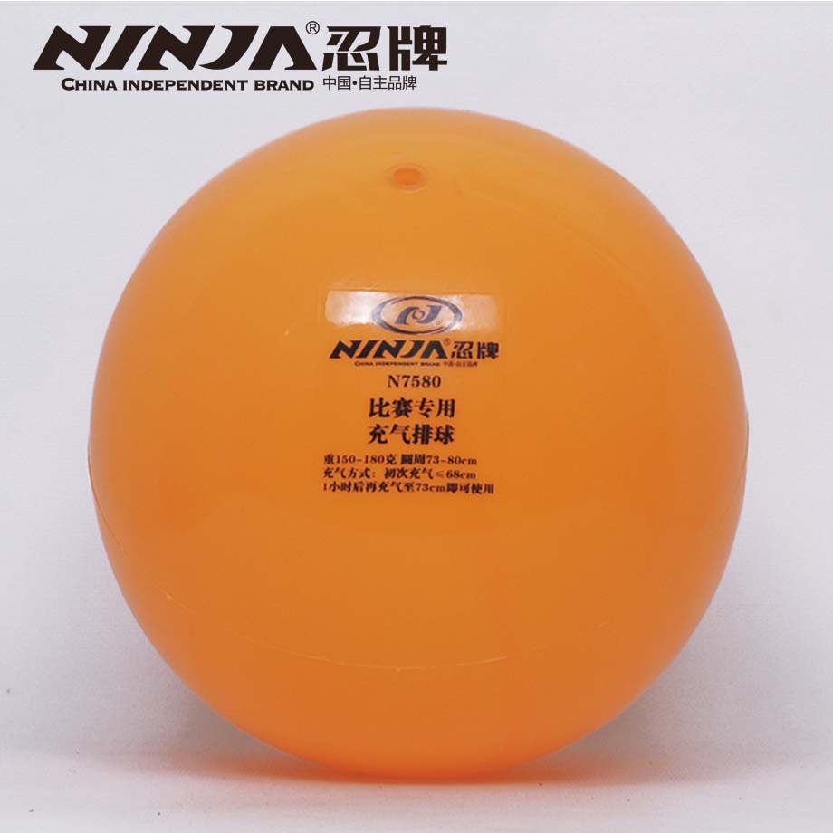 金沙官方版下载N7580排球